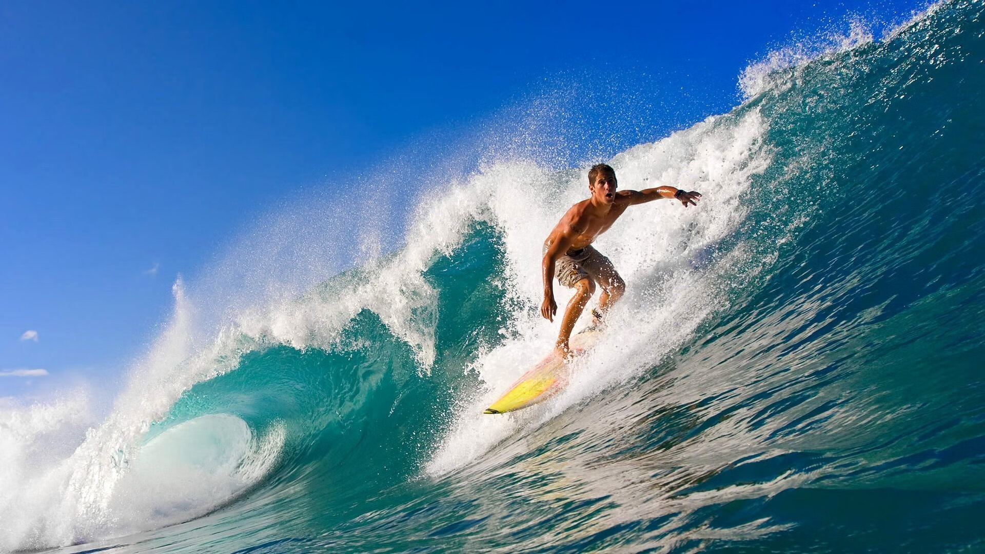 中国泳坛新星闪耀国际赛场,巴黎奥运周期迎来黄金一代